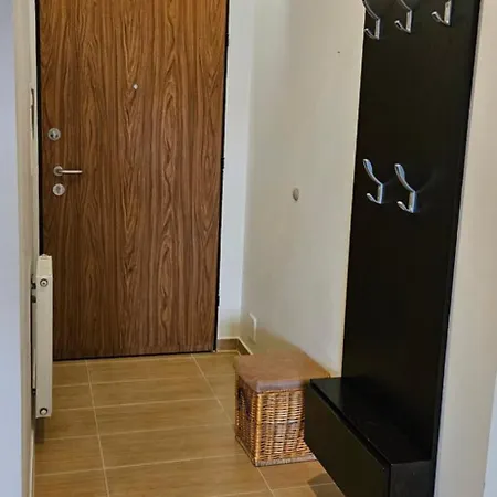 Anna شتشيتسين